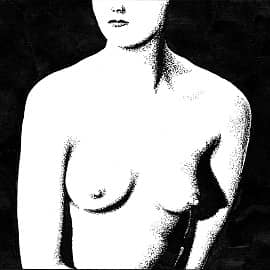 Силуэт обнаженной  Nude Silhouette