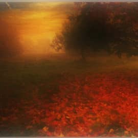 Осеннее настроение