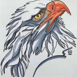 Голова орлана. Скетч.