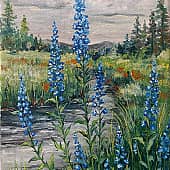 Дельфиниум