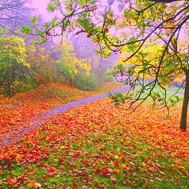 По тропинке в осень.