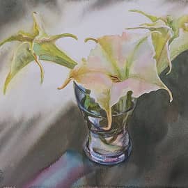 Южные цветы.