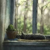 Наблюдение