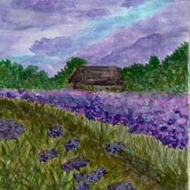 Лавандовое поле