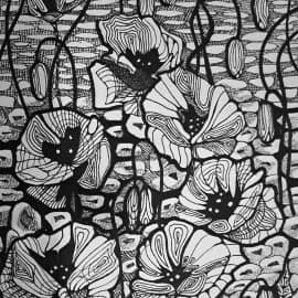 Маковое поле