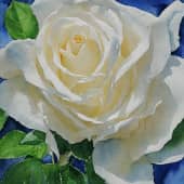 Картина "Белая роза".