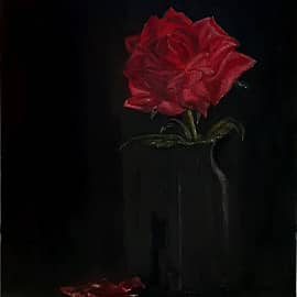 "Роза на чёрном "