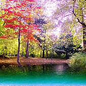 Осенний берег.