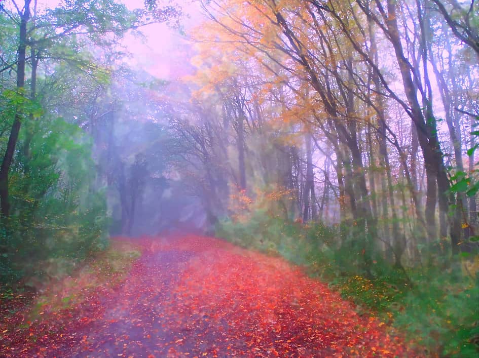 Осенние туманы.