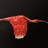 Красная птица