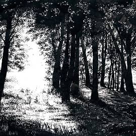 Графика и рисунок