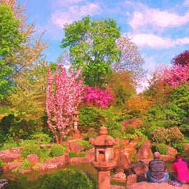 Весна для двоих