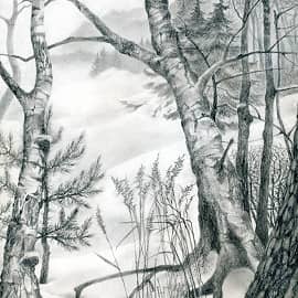 Графика и рисунок