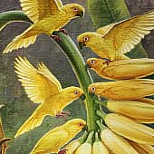 Тропический сад (1), художник Лиза Рэй