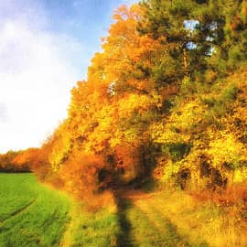 перспектива