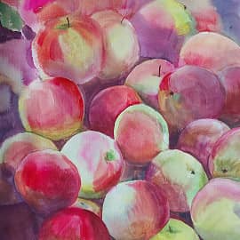 Урожай яблок