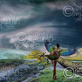 Грозовое небо на море. Женщина птица