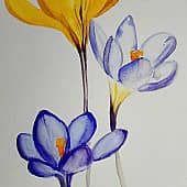 Цветы весны