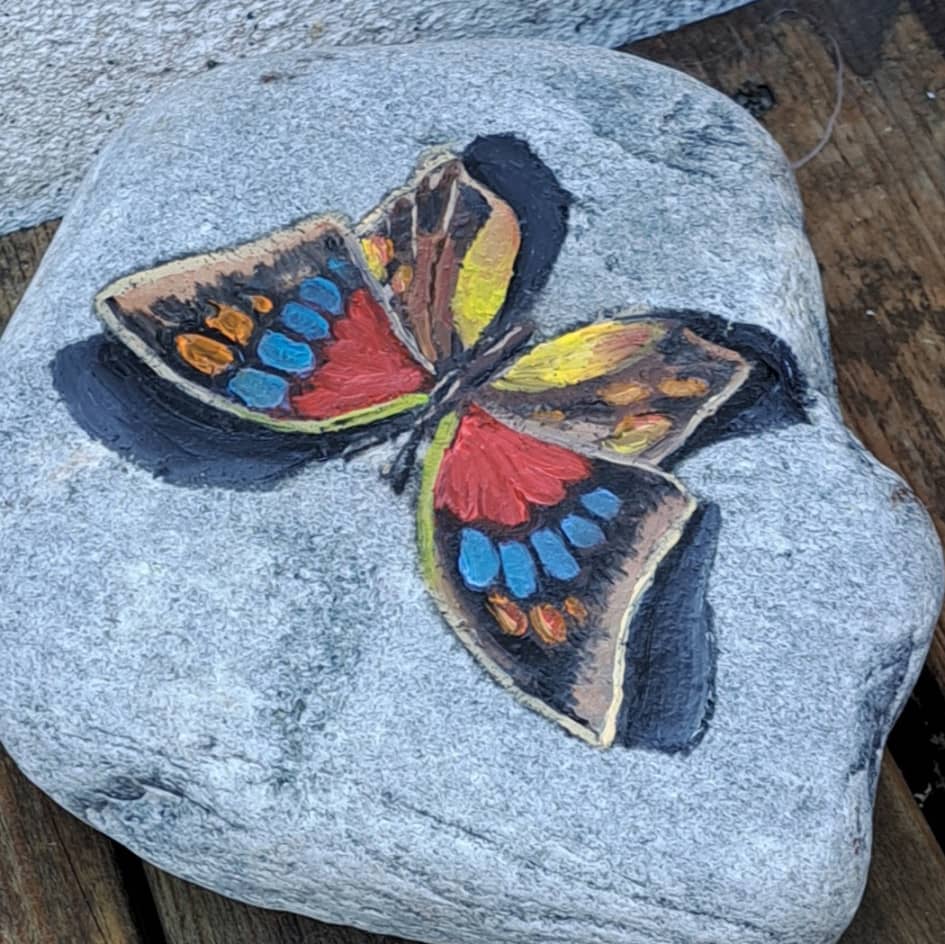 Бабочка на камне