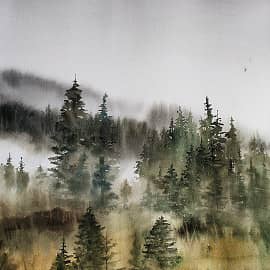 Хвойный лес