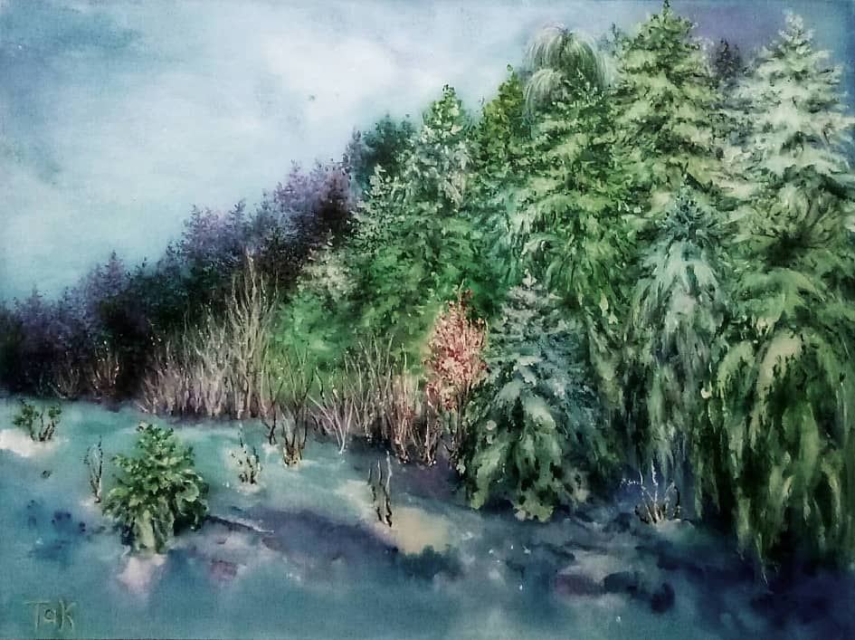 Заснеженный лес. Не  рубите, а берегите его!