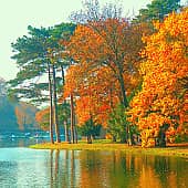 Берег осени.