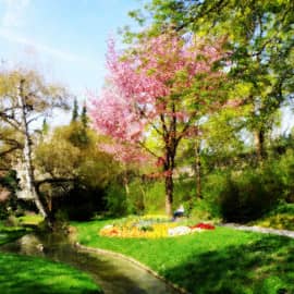 Весеннее цветение