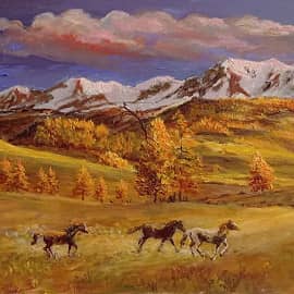 В погоне за солнцем