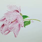 Дождь прошел