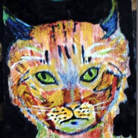 Кот под Луной