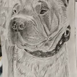 На прогулке.