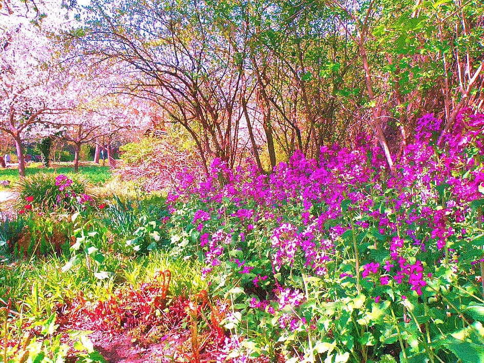 Фон цветущий сад (58 фото)