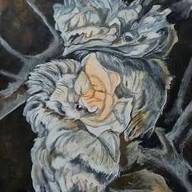 Тропические птицы.Парочка.