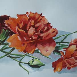 Памяти погибшим...Помним...Незабудем