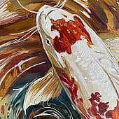 Карпы кои (2), художник Чернова Ольга