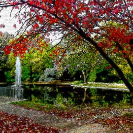 Осень в парке