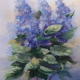 Цветы сирени