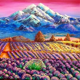 Лавандовое поле