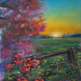 Вечерние маки