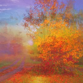 Дорога в туман.