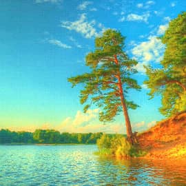 Сосны на берегу-2