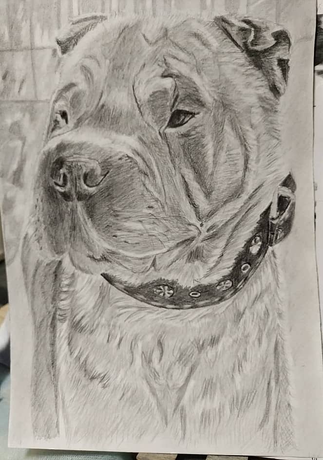 На прогулке.