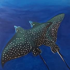 Для танго нужны двое.