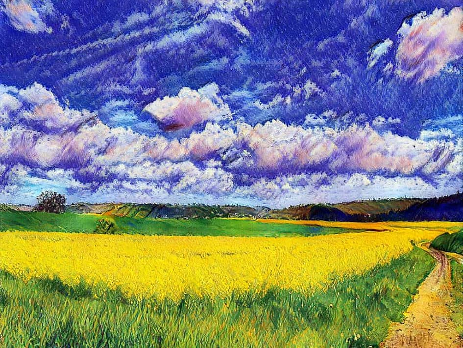 Полевая дорога.