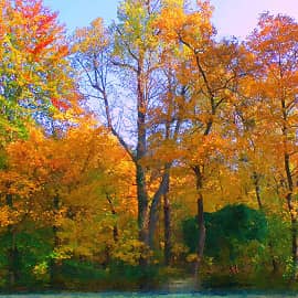 Осенний наряд.