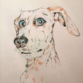 Недоверчивый пес