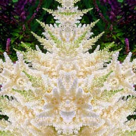 С новым 2023 годом