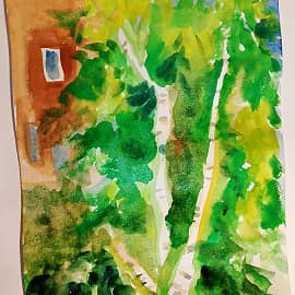 Березка под окном