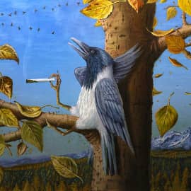 Ворона мира