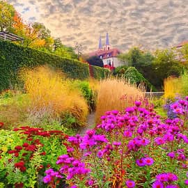 Отцвели уж давно хризантемы в саду.